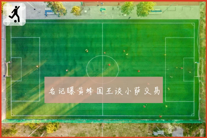 名记曝黄蜂国王谈小萨交易
